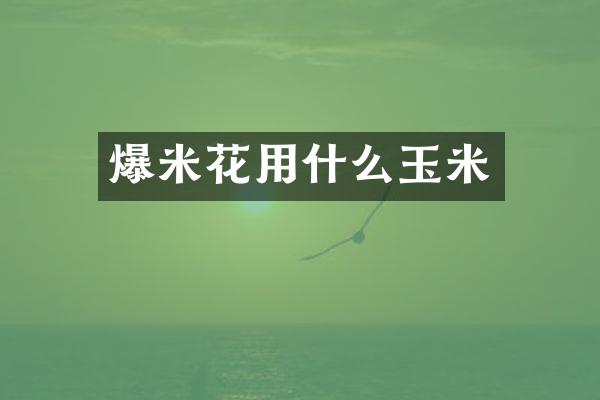 爆米花用什么玉米