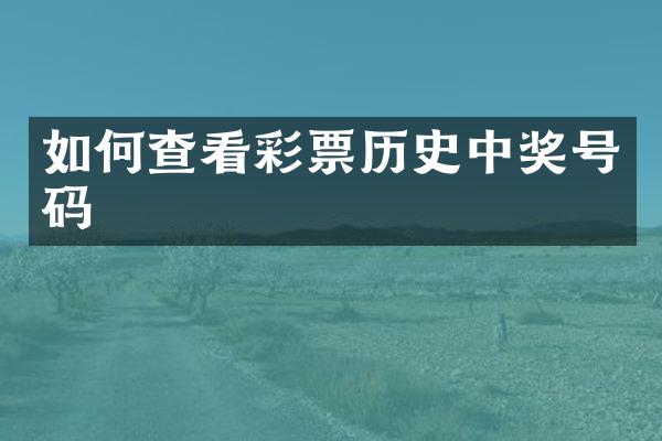 如何查看彩票历史中奖号码