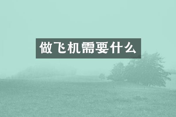 做飞机需要什么