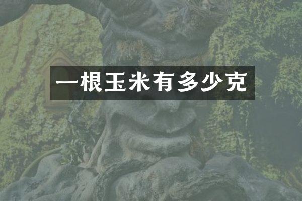 一根玉米有多少克