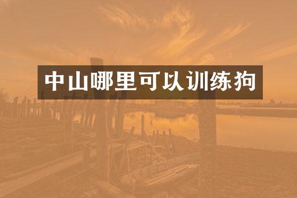 中山哪里可以训练狗