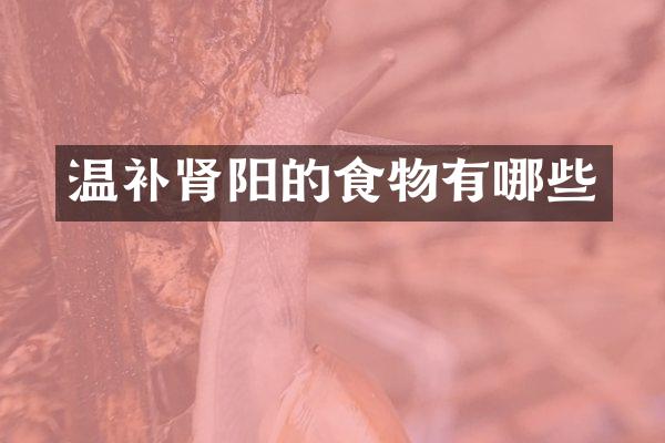 温补肾阳的食物有哪些
