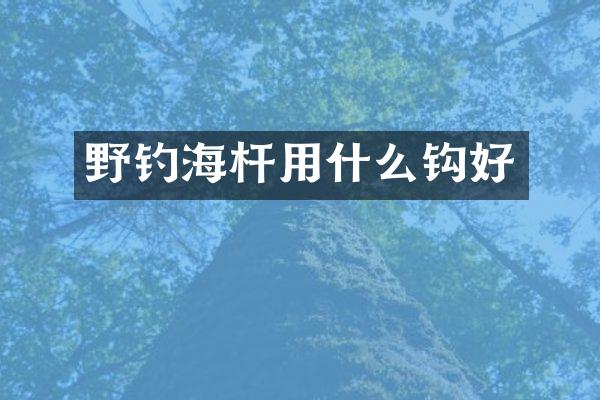 野钓海杆用什么钩好