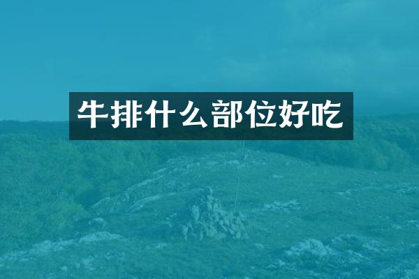 牛排什么部位好吃