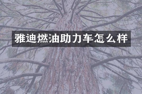 雅迪燃油助力车怎么样