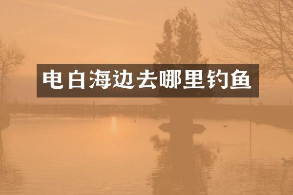 电白海边去哪里钓鱼