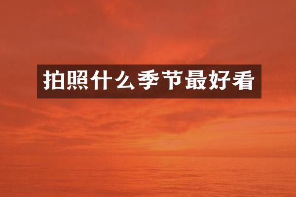 拍照什么季节最好看