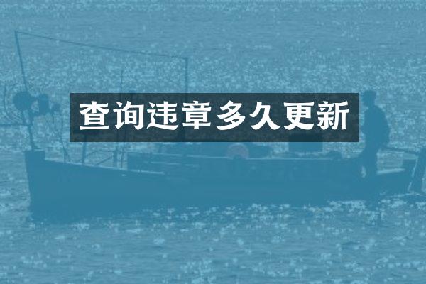 查询违章多久更新