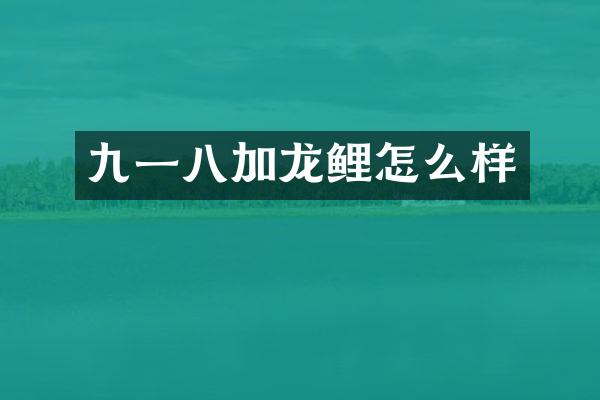 九一八加龙鲤怎么样