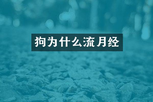 狗为什么流月经
