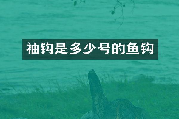 袖钩是多少号的鱼钩