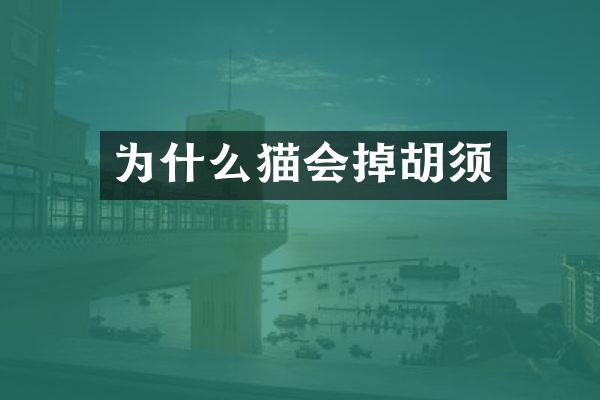 为什么猫会掉胡须