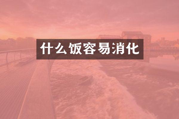 什么饭容易消化