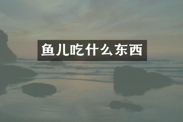 鱼儿吃什么东西