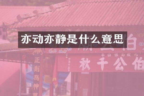 亦动亦静是什么意思