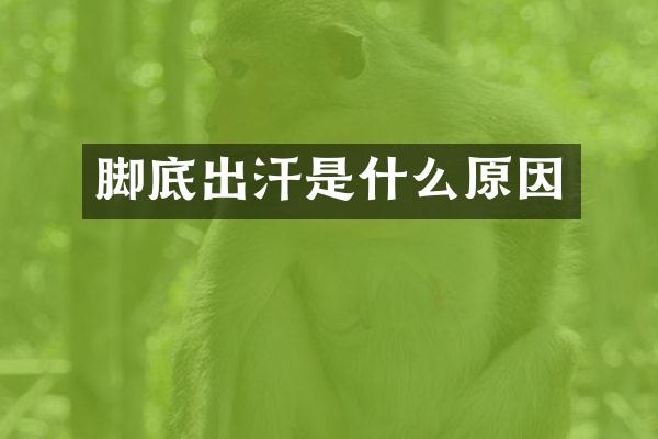 脚底出汗是什么原因