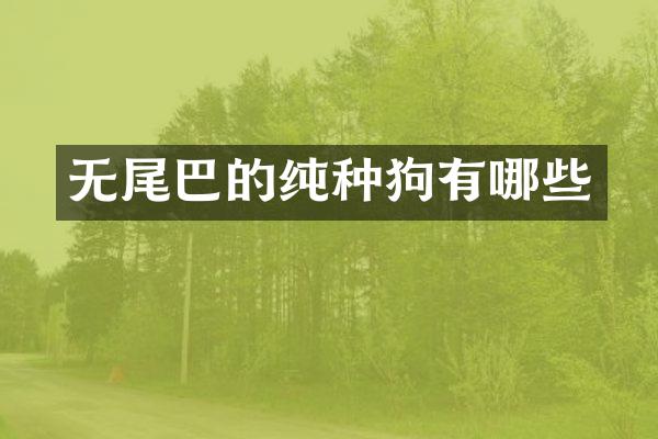 无尾巴的纯种狗有哪些