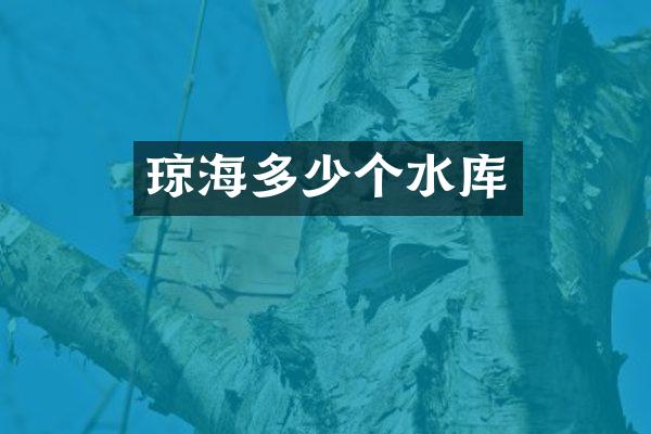 琼海多少个水库