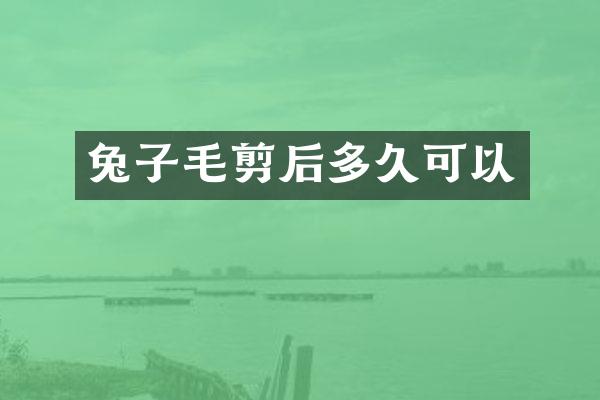 兔子毛剪后多久可以