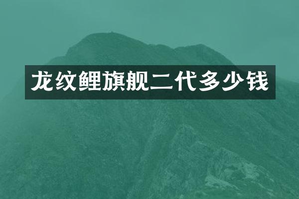 龙纹鲤旗舰二代多少钱