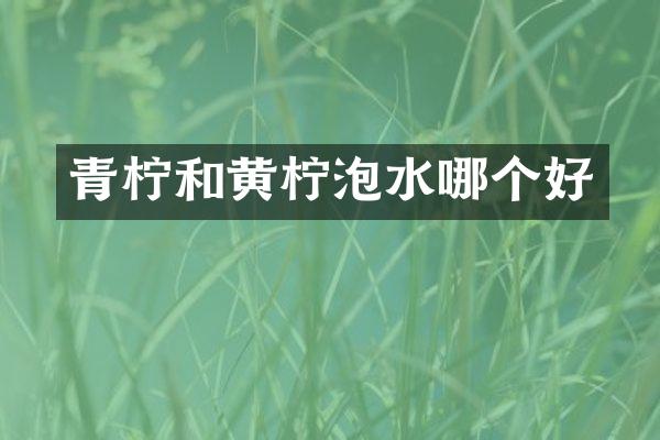 青柠和黄柠泡水哪个好