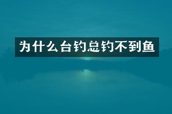 为什么台钓总钓不到鱼
