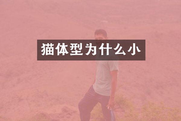 猫体型为什么小