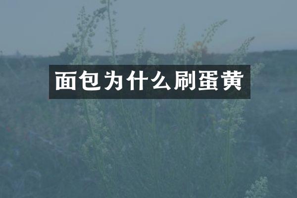 面包为什么刷蛋黄