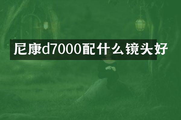 尼康d7000镜头好