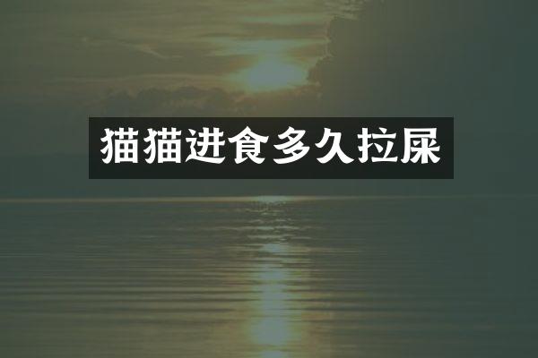 猫猫进食多久拉屎