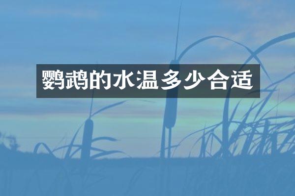 鹦鹉的水温多少合适