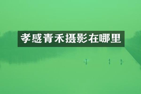 孝感青禾摄影在哪里