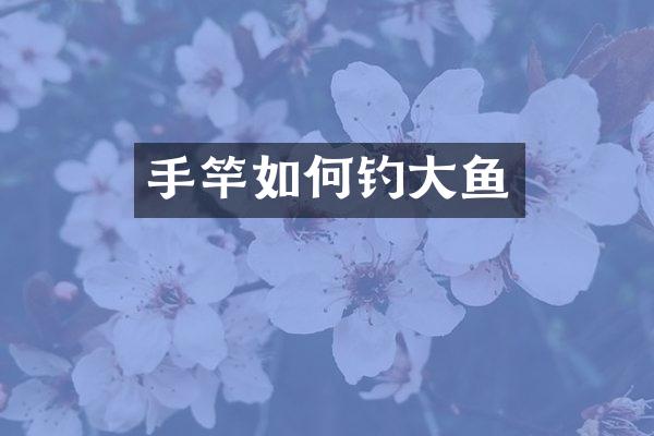 手竿如何钓大鱼