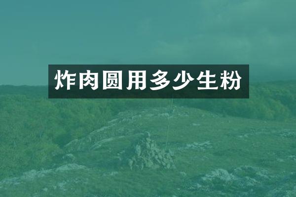 炸肉圆用多少生粉