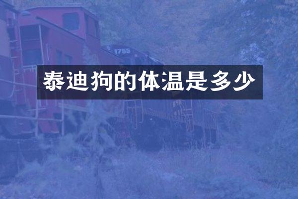 泰迪狗的体温是多少