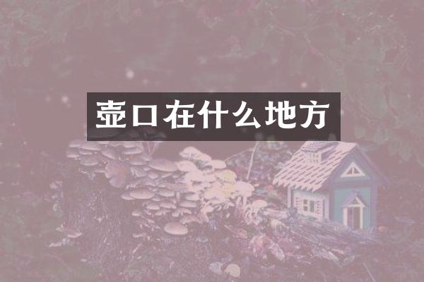 壶口在什么地方