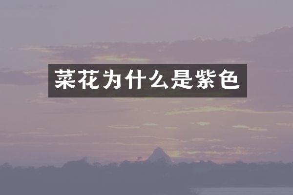 菜花为什么是紫色