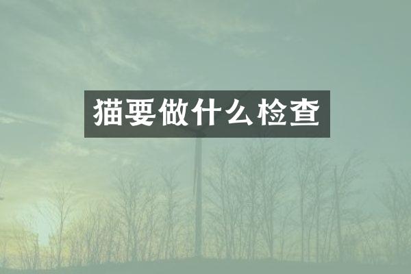 猫要做什么检查