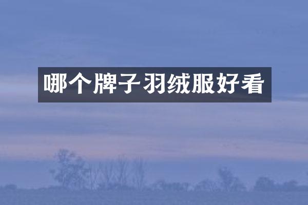 哪个牌子羽绒服好看