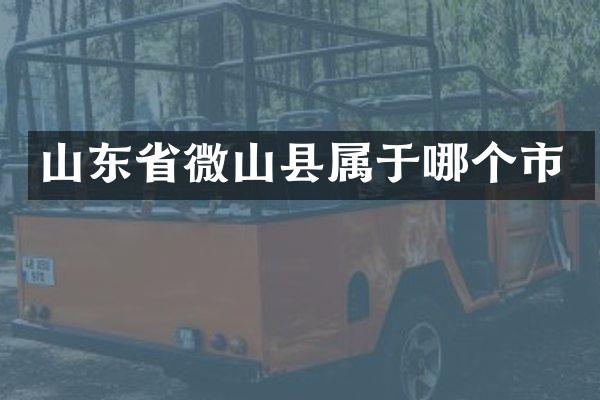 山东省微山县属于哪个市