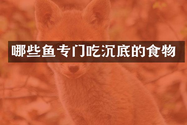 哪些鱼专门吃沉底的食物