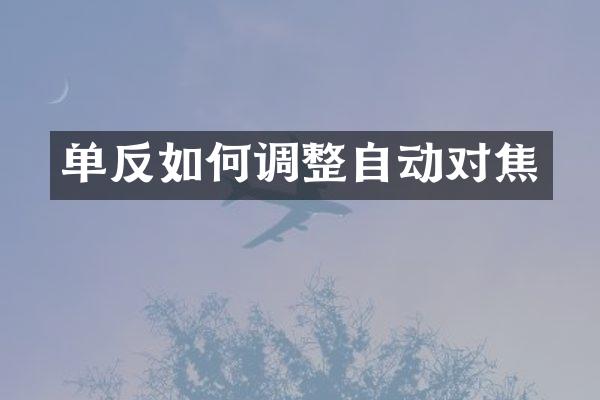 单反如何调整自动对焦