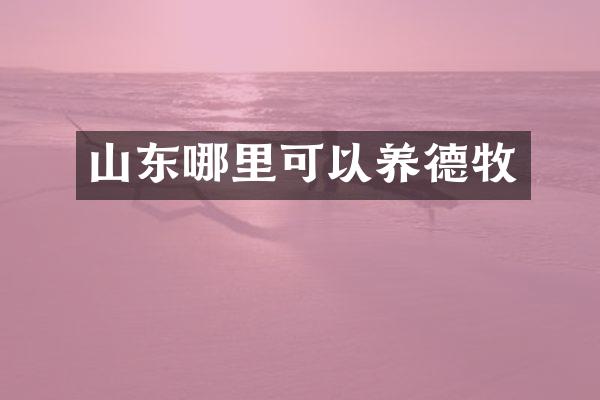 山东哪里可以养德牧