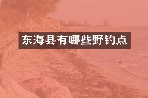 东海县有哪些野钓点