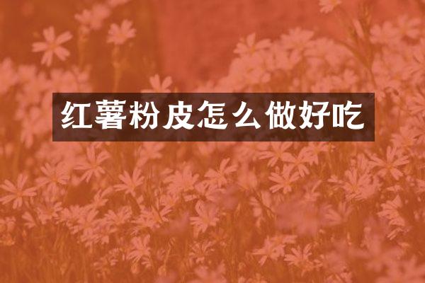 红薯粉皮怎么做好吃