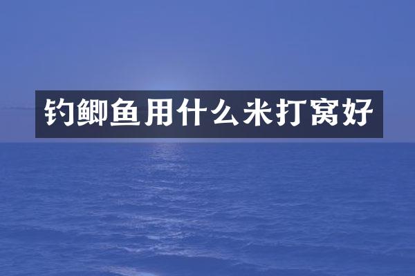 钓鲫鱼用什么米打窝好