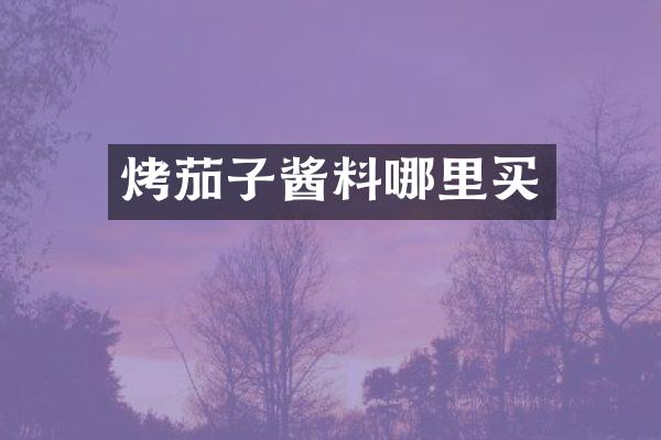 烤茄子酱料哪里买