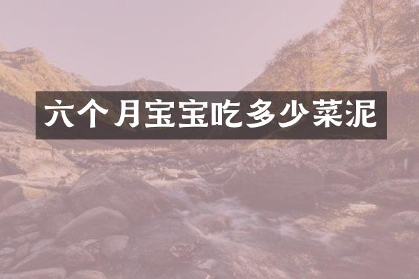 六个月宝宝吃多少菜泥