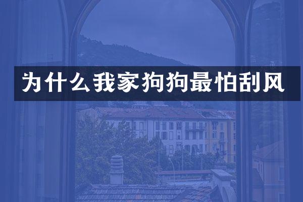 为什么我家狗狗最怕刮风