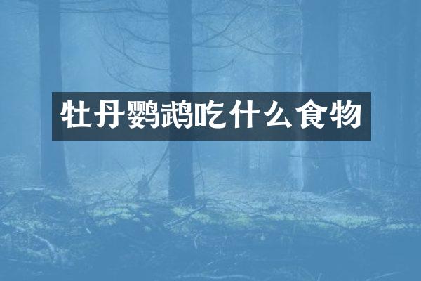 牡丹鹦鹉吃什么食物